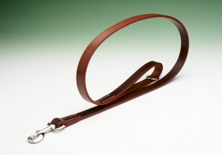 Best Bridle Leather Dog Lead