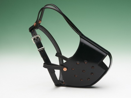 Best Bridle Leather Muzzle