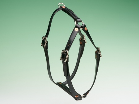Karenswood Tracking Harness