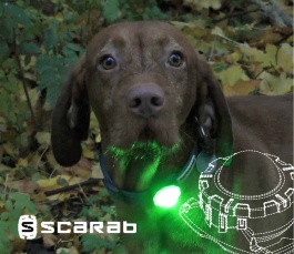Scarab TRIO Safety Beacon