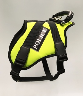 GPH.1a.   The Karenswood Riot Harness with Lockfast Buckles