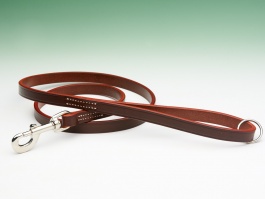 Best Bridle Leather Lead