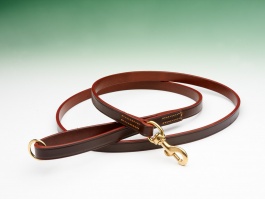 Best Bridle Leather Lead