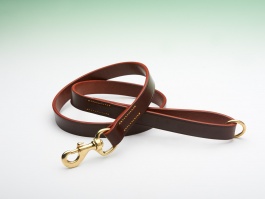 Best Bridle Leather Lead