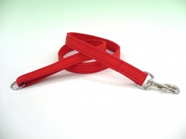 L.39.  Economy Nylon Dog Lead