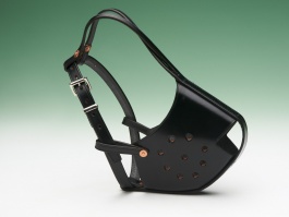 Best Bridle Leather Muzzle