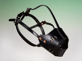 Best Bridle Leather Muzzle