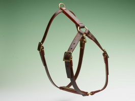 Harnesses & Lines