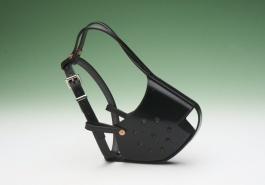 Muzzles